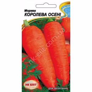 Морква Королева Осені (НК ЕЛІТ) 2 г.