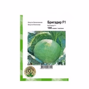 Капуста Бригадир F1 (Clause Tezier) 20 нас.