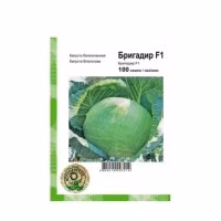 Капуста Бригадир F1 (Clause Tezier) 20 нас. Капуста Бригадир F1 (Clause Tezier) 20 нас.