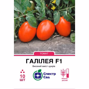 Томат Галілея F1 (СпектрСад) 10 нас.