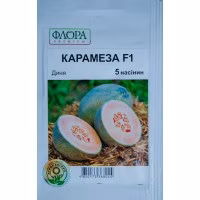 Диня Карамеза (Enza Zaden) 5 нас. Диня Карамеза (Enza Zaden) 5 нас.
