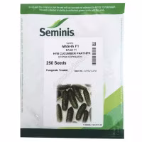 Огірок Маша F1 (Seminis) 250 нас.