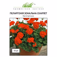 Пеларгонія зональна Скарлет (Проф Насіння) 0,04 г.