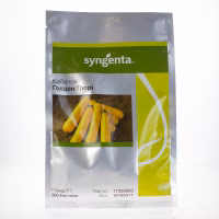 Кабачок Голден Глорі  F1 (Syngenta) 500 нас.