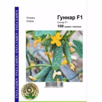 Огірок Гуннар F1 (Enza Zaden) 100 нас.