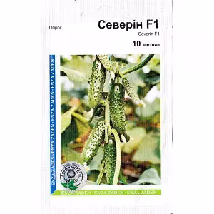 Огірок Северин F1 (Енза Заден) 10 нас.