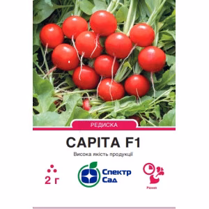 Редиска Саріта F1 (СпектрСад) 2 г.