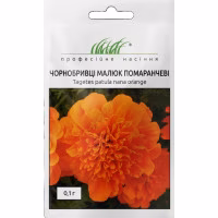 Чорнобривці Малюк помаранчеві (Проф Насіння) 0,1 г.