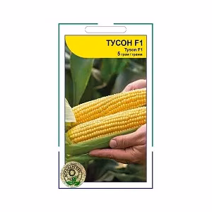 Кукурудза цукрова Тусон F1 (Syngenta) 5 г.