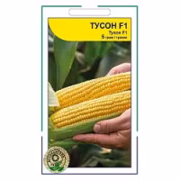 Кукурудза цукрова Тусон F1 (Syngenta) 5 г.