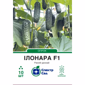 Огірок Іллонара F1 (СпектрСад) 10 нас.