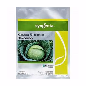 Капуста Саксесор F1 (Syngenta) 2500 нас.