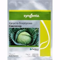 Капуста Саксесор F1 (Syngenta) 2500 нас.