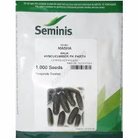 Огірок Маша F1 (Seminis) 1000 нас.