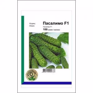 Огірок ПАСАЛІМО F1 (Syngenta) 100 нас.