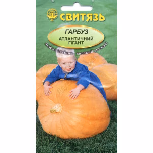 Гарбуз Атлантичний гігант (Свитязь) 7 нас.