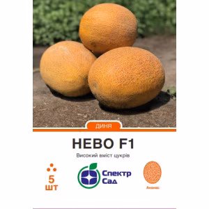 Диня Нево F1 (СпектрСад) 5 нас.
