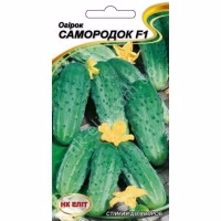Огірок Самородок F1 (НК ЕЛІТ) 15 нас.