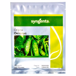 Огірок Октопус F1 (Syngenta) 500 нас.