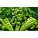 Горох Ідалго (Syngenta) 100 000 нас.