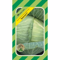 Капуста Трансам F1 (Bejo Zaden) 20 нас. Капуста Трансам F1 (Bejo Zaden) 20 нас.