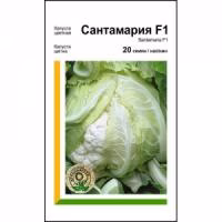 Капуста цвітна Сантамарія F1 (Rijk Zwaan) 20 нас. Капуста цвітна Сантамарія F1 (Rijk Zwaan) 20 нас.