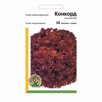 Салат Конкорд (Rijk Zwaan) 30 нас. Салат Конкорд (Rijk Zwaan) 30 нас.
