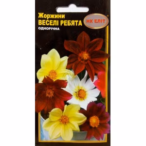 Жоржина Веселые ребята махрова (НК ЕЛІТ) 0,3 г.