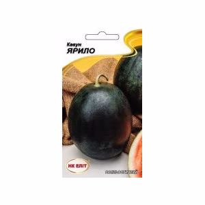 Кавун Ярило (НК ЕЛІТ) 1 г.