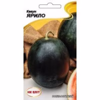 Кавун Ярило (НК ЕЛІТ) 1 г. Кавун Ярило (НК ЕЛІТ) 1 г.