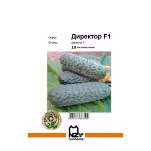 Огірок Директор F1 (Nunhems) 10 нас.