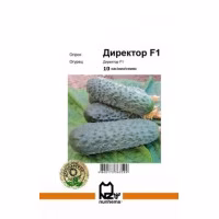 Огірок Директор F1 (Nunhems) 10 нас.