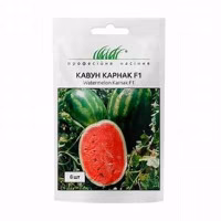 Кавун Карнаката F1 (Проф Насіння) 8 нас. Кавун Карнаката F1 (Проф Насіння) 8 нас.
