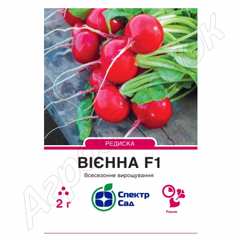 Редиска Вієна F1 (СпектрСад) 2 г.