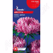 Айстра Сива Дама червона (GL Seeds) 0,3 г.