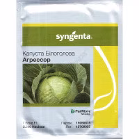 Капуста Агресор F1 (Syngenta) 2500 нас. Капуста Агресор F1 (Syngenta) 2500 нас.