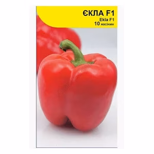 Перець солодкий Екла F1 (Syngenta) 10 нас.
