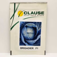 Капуста Бригадир F1 (Clause) 2500 нас. Капуста Бригадир F1 (Clause) 2500 нас.