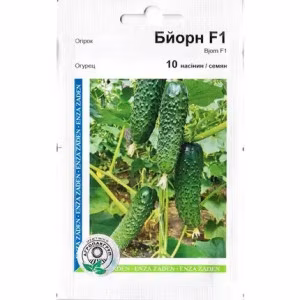 Огірок Бйорн F1 (Enza Zaden) 10 нас.