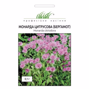 Монарда /Бергамот (Проф Насіння) 0,1 г.