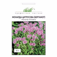 Монарда /Бергамот (Проф Насіння) 0,1 г. Монарда /Бергамот (Проф Насіння) 0,1 г.