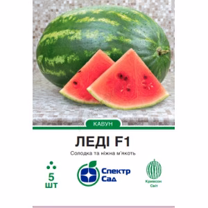 Кавун Леді F1 (СпектрСад) 5 нас.