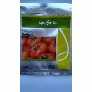 Томат Бобкат F1 (Syngenta) 1000 нас.
