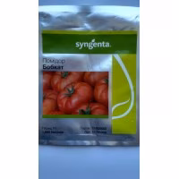 Томат Бобкат F1 (Syngenta) 1000 нас.