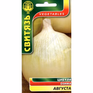 Цибуля Августа (Свитязь) 1 г.
