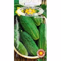 Огірок Родос F1 інкр (Roltico) 5 г.