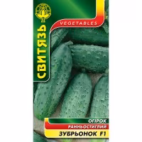 Огірок Зубрьонок F1 (Свитязь) 1 г.