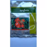 Томат Астерікс F1 (Syngenta) 2500 нас.