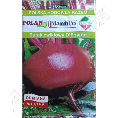 Буряк Єгіпос (Plantico) 50 г.