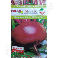 Буряк Єгіпос (Plantico) 50 г. Буряк Єгіпос (Plantico) 50 г.